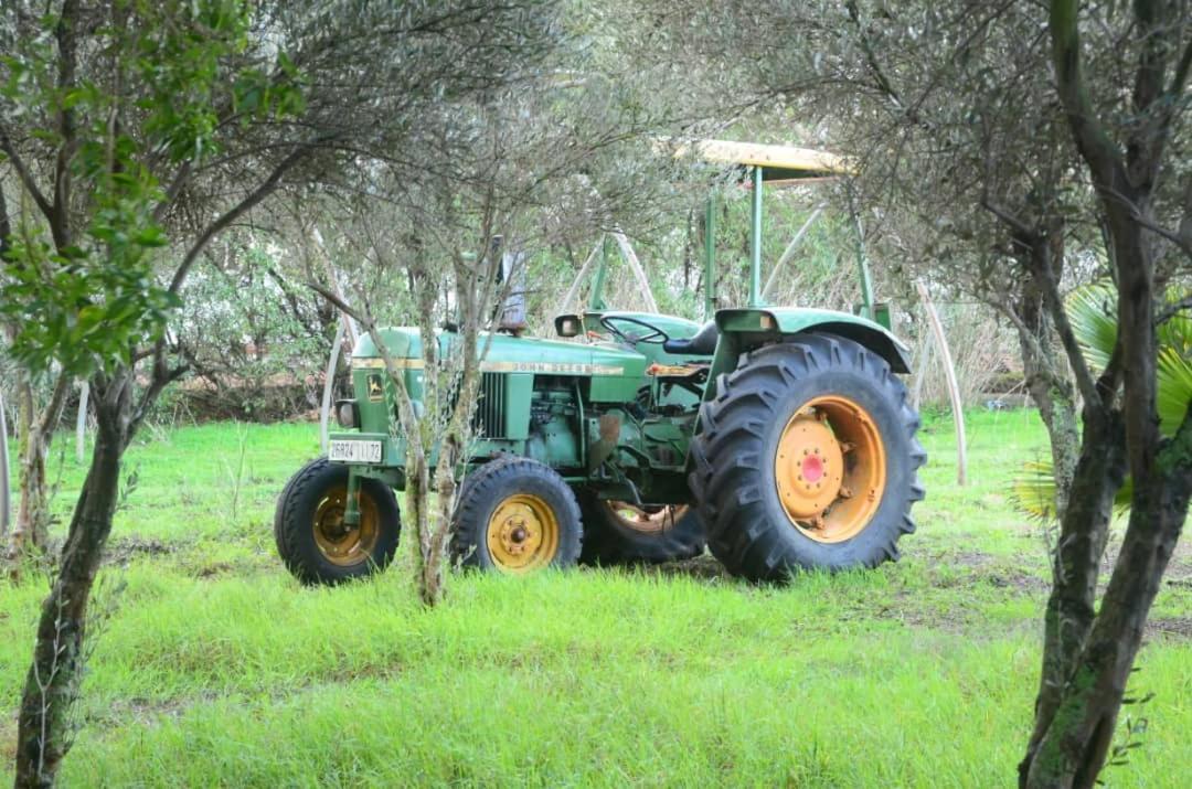קזבלנקה Villa Green Flower מראה חיצוני תמונה